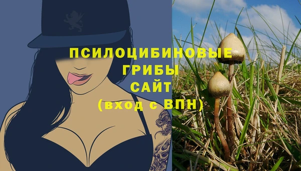 ALPHA PVP Кинешма