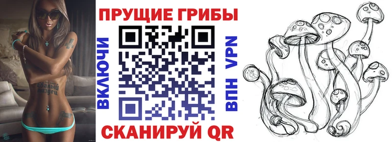 Галлюциногенные грибы GOLDEN TEACHER  Купить  Отрадный 